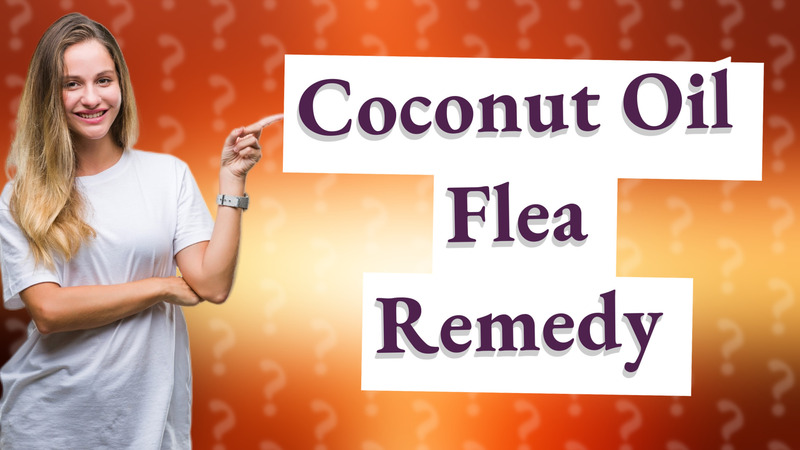 Coconut Oil Flea Remedy
