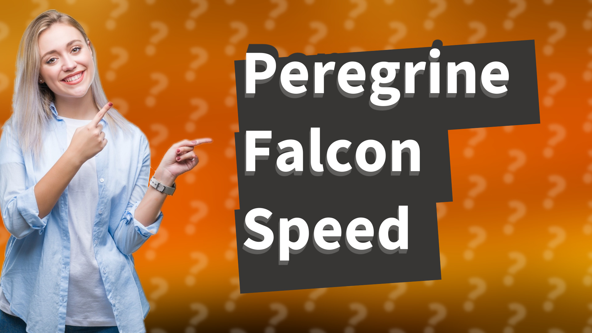 Peregrine Falcon Speed