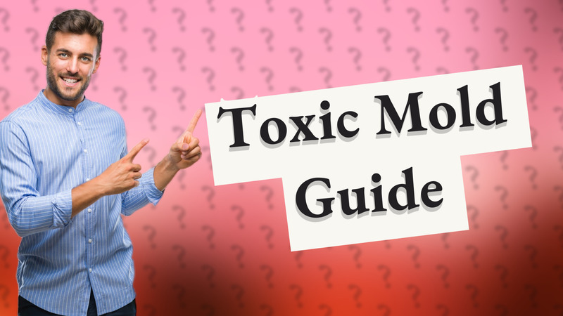 Toxic Mold Guide