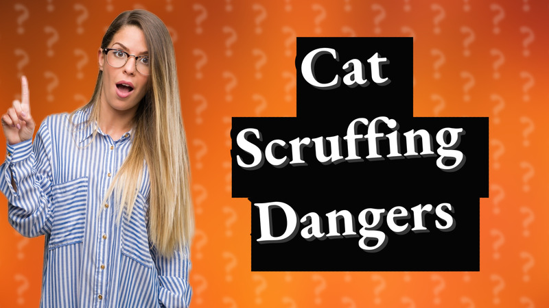 Cat Scruffing Dangers