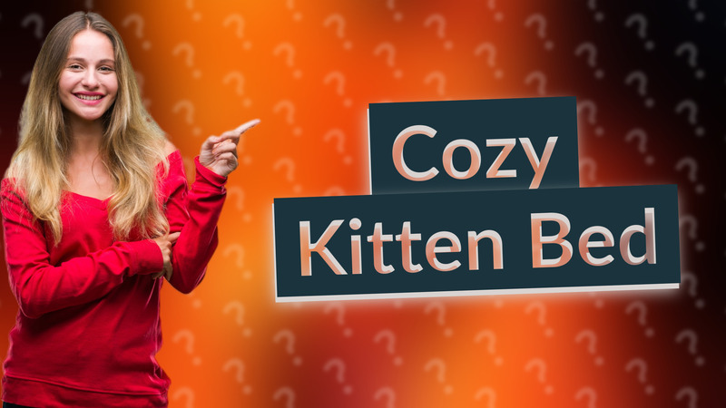 Cozy Kitten Bed