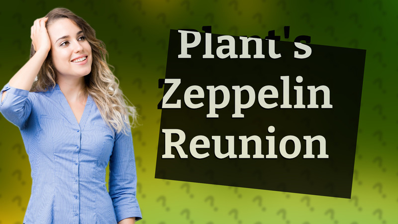Plant's Zeppelin Reunion