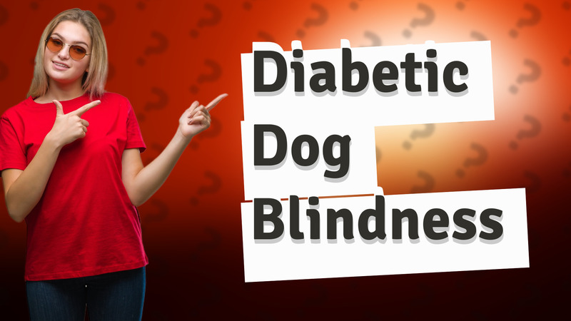 Diabetic Dog Blindness