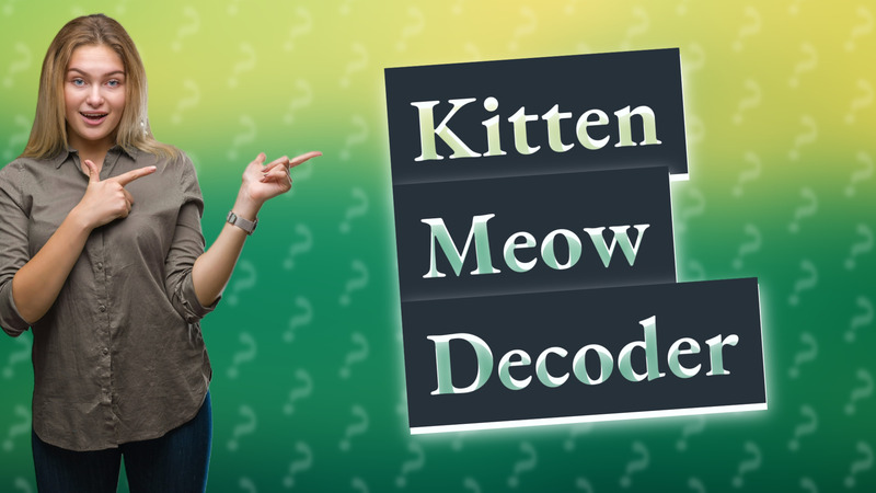 Kitten Meow Decoder