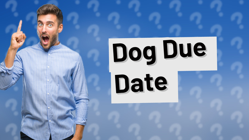 Dog Due Date