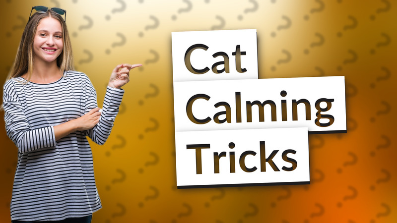 Cat Calming Tricks