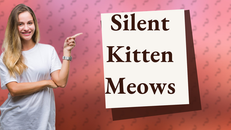 Silent Kitten Meows