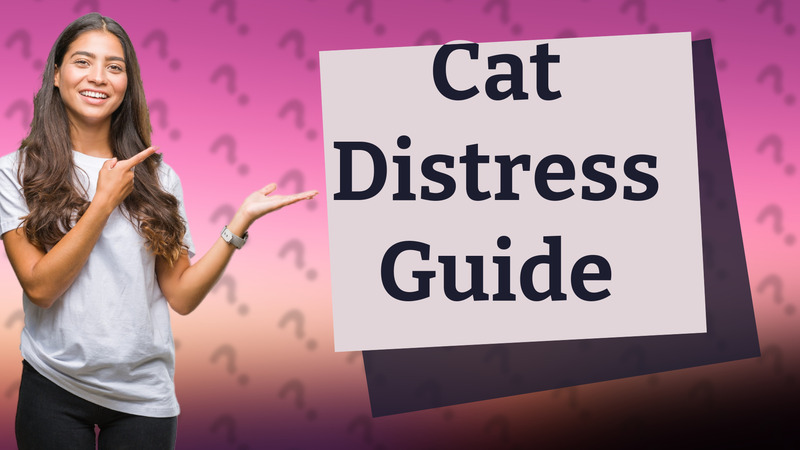 Cat Distress Guide