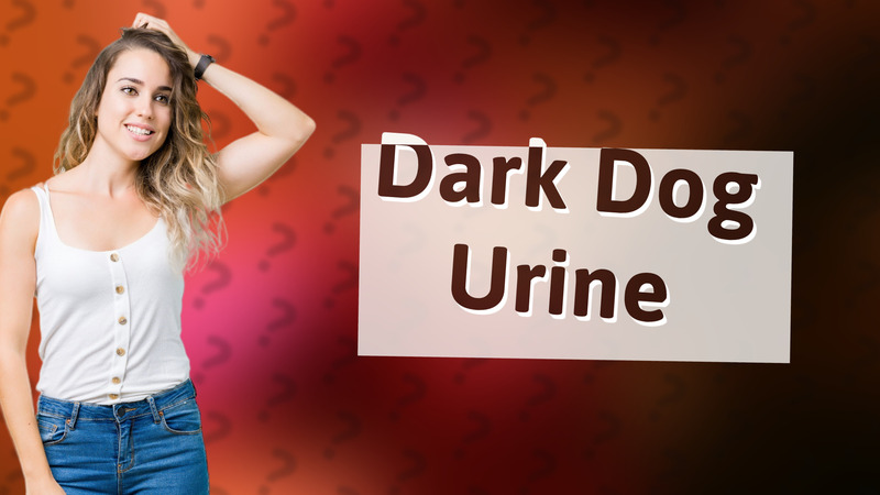 Dark Dog Urine