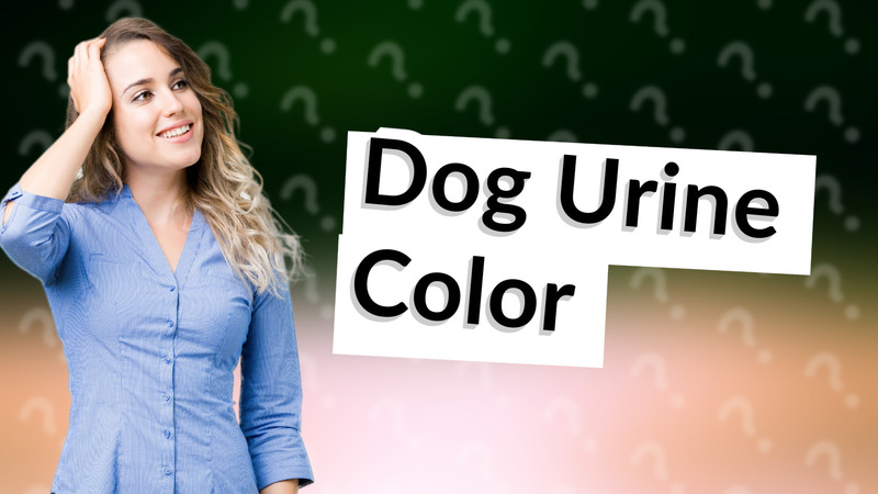 Dog Urine Color