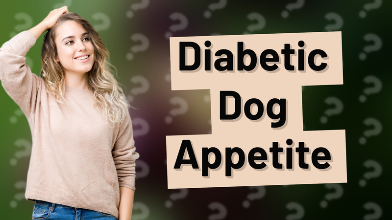 Diabetic Dog Appetite
