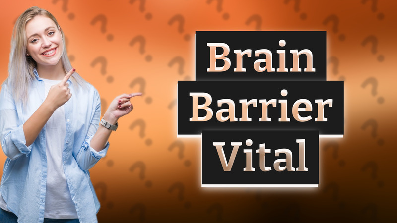 Brain Barrier Vital