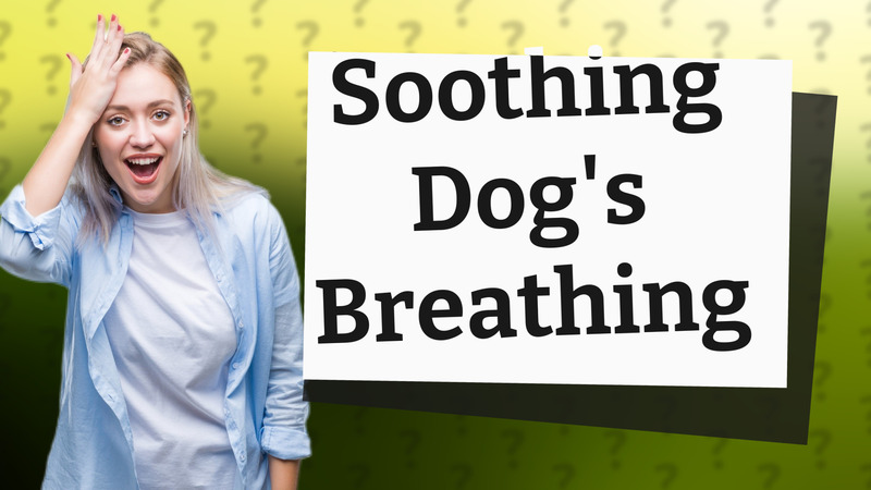 Soothing Dog's Breathing