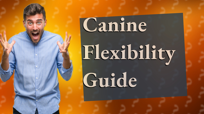Canine Flexibility Guide