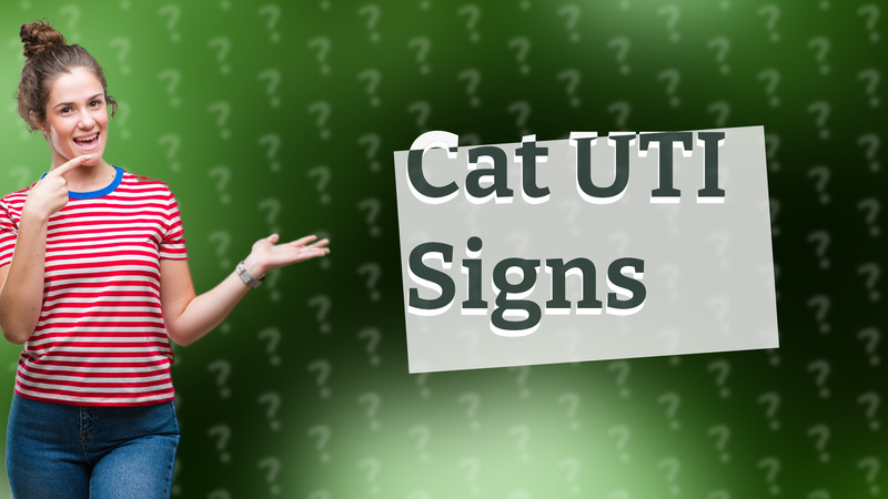 Cat UTI Signs