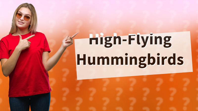 High-Flying Hummingbirds