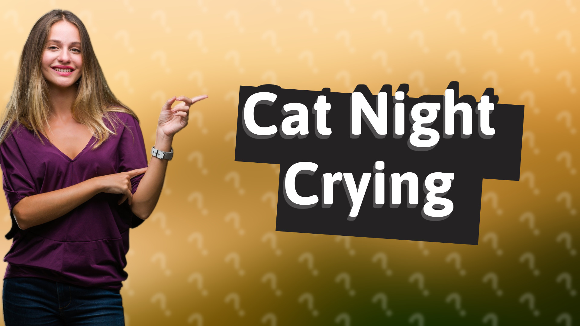 Cat Night Crying