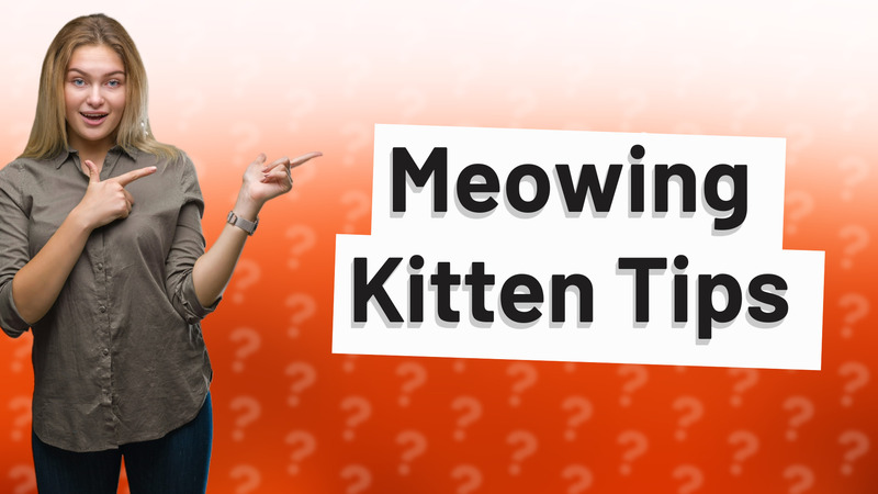 Meowing Kitten Tips