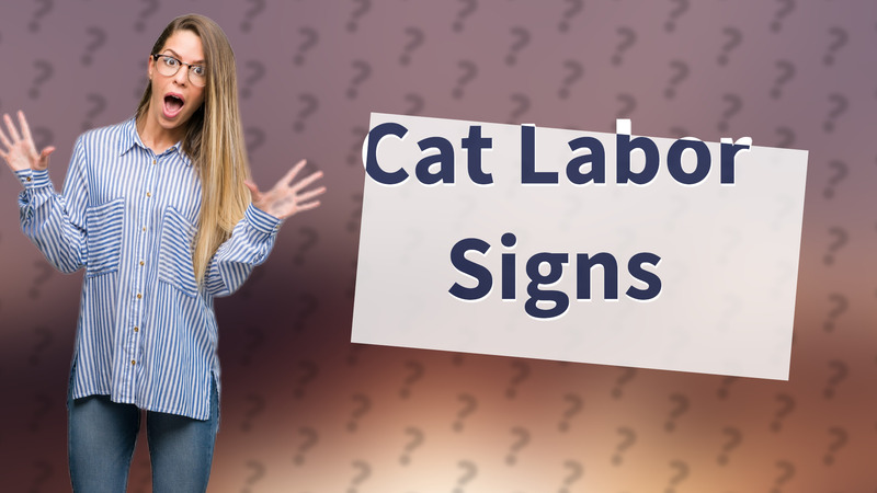 Cat Labor Signs