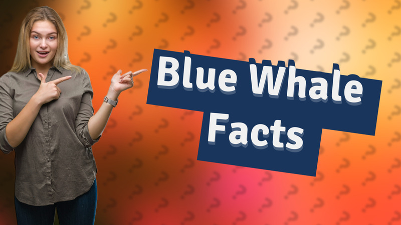 Blue Whale Facts