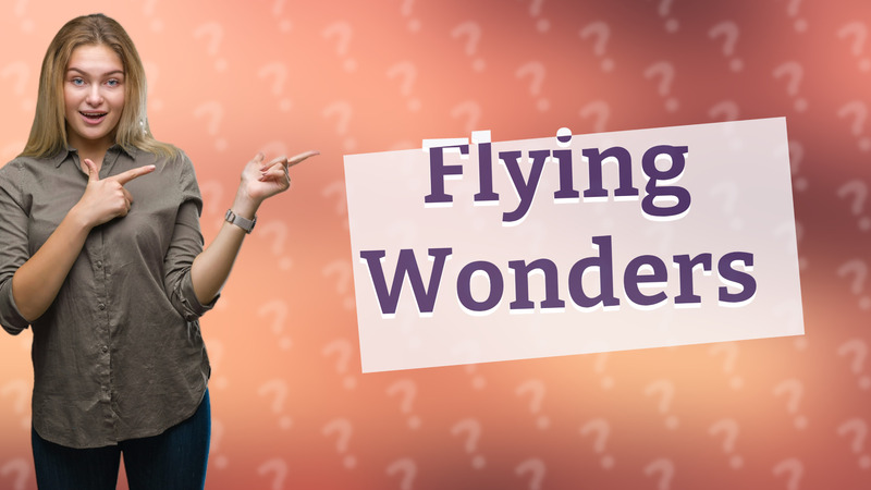 Flying Wonders
