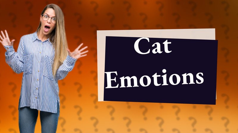 Cat Emotions