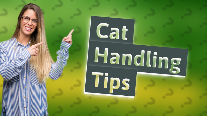 Cat Handling Tips