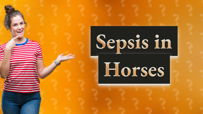 Sepsis in Horses