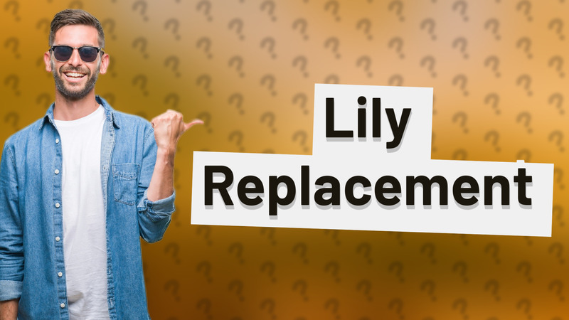 Lily Replacement