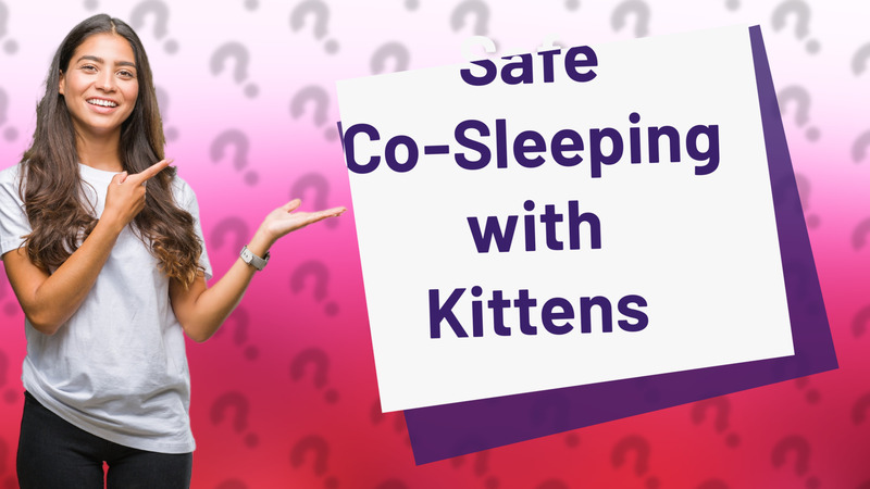 Safe Co-Sleeping with Kittens
