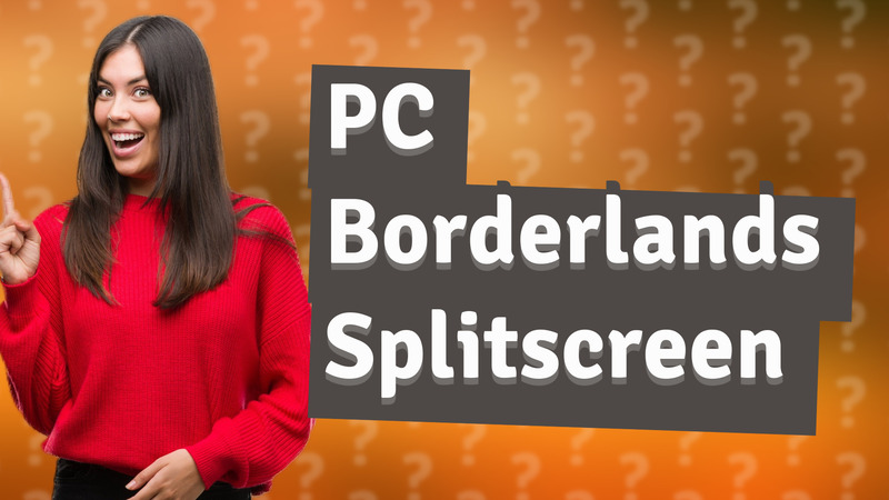 PC Borderlands Splitscreen