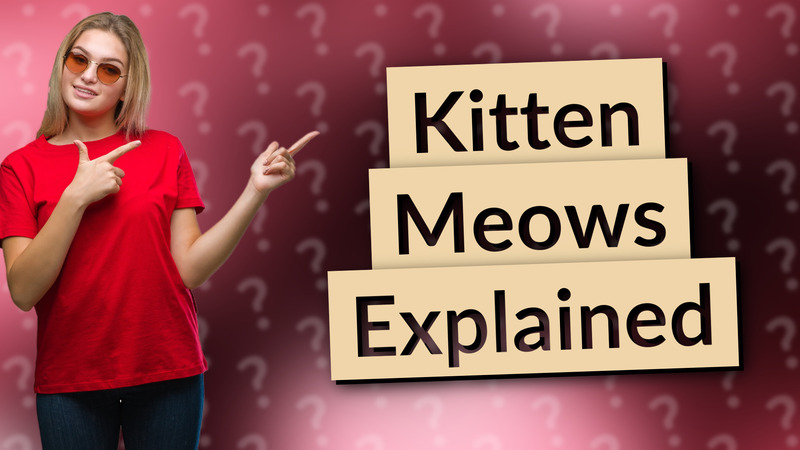 Kitten Meows Explained