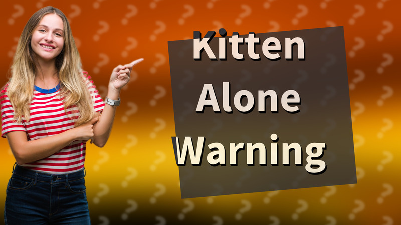 Kitten Alone Warning