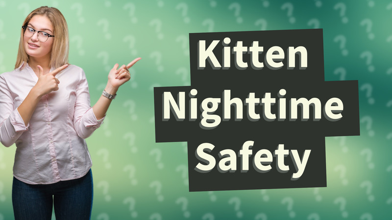 Kitten Nighttime Safety