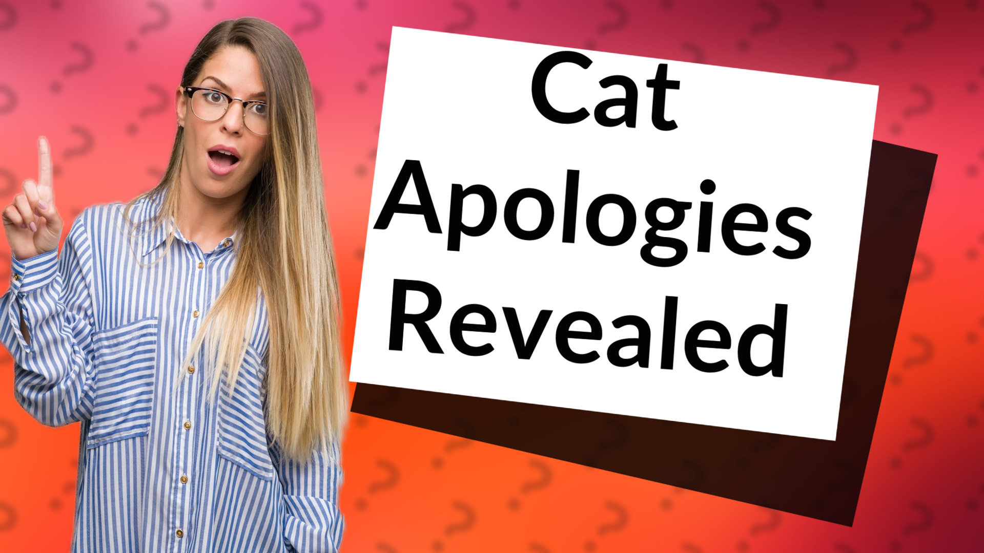 Cat Apologies Revealed