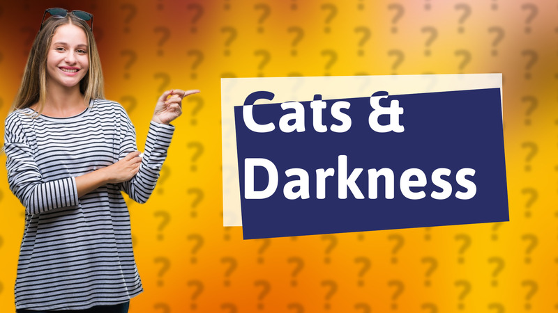 Cats & Darkness