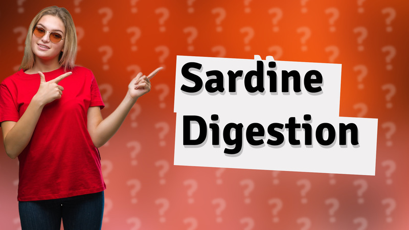 Sardine Digestion