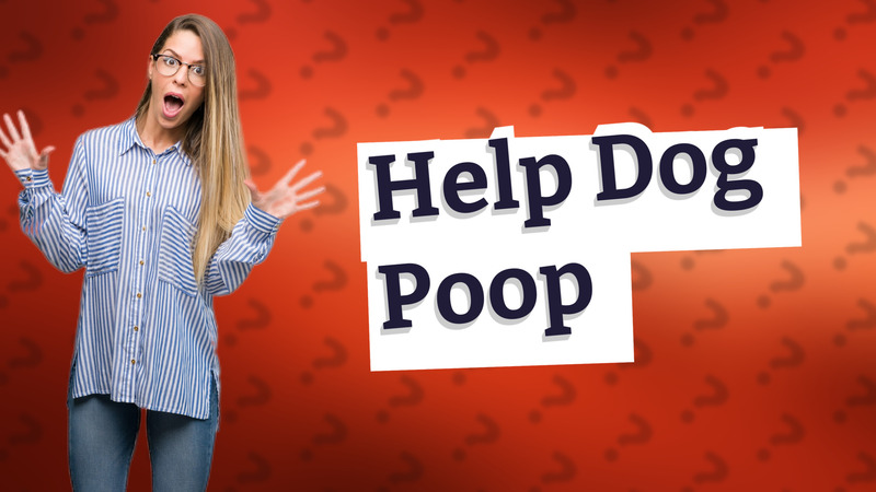 Help Dog Poop