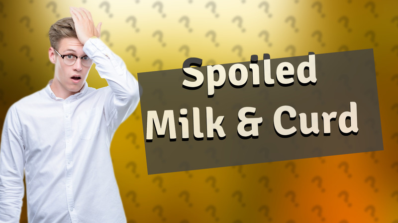 Spoiled Milk & Curd