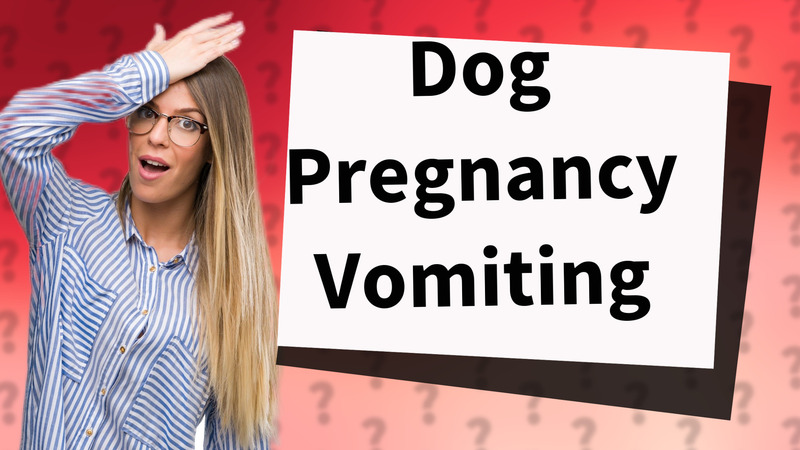 Dog Pregnancy Vomiting