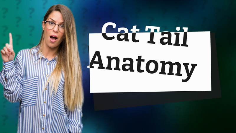 Cat Tail Anatomy