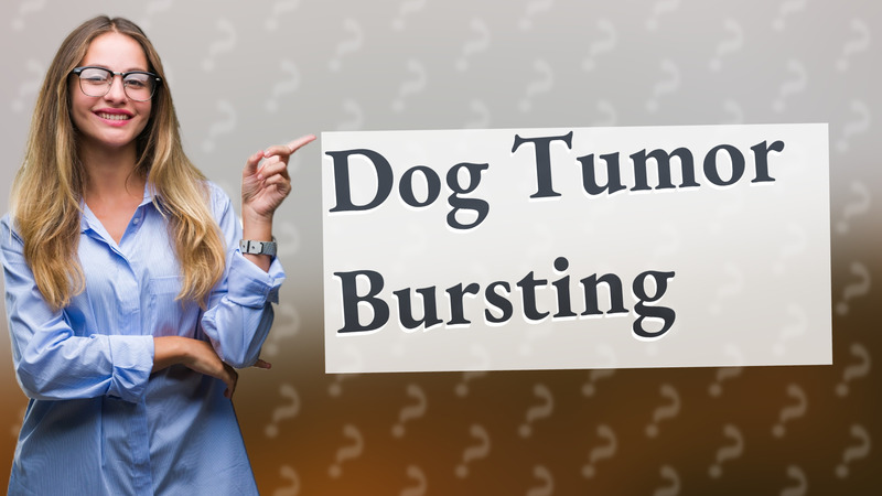 Dog Tumor Bursting