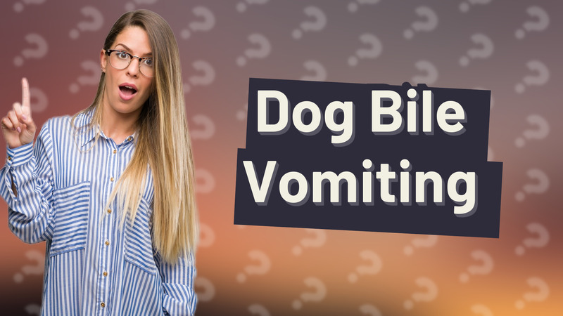 Dog Bile Vomiting