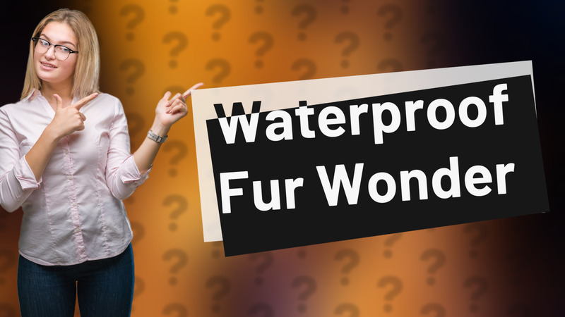 Waterproof Fur Wonder