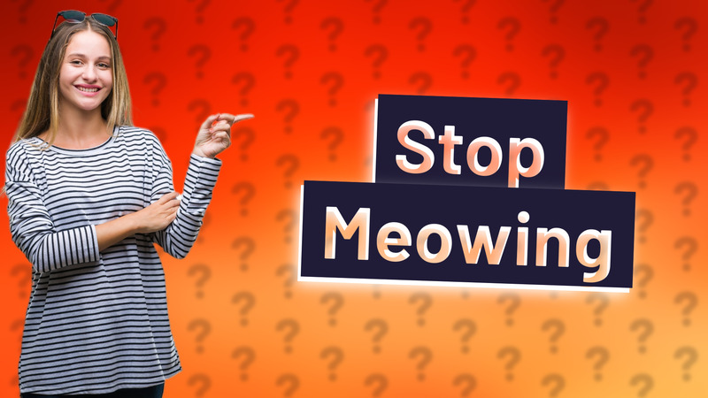 Stop Meowing