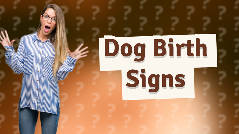 Dog Birth Signs
