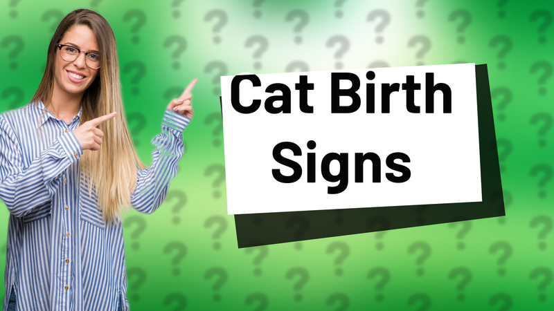 Cat Birth Signs
