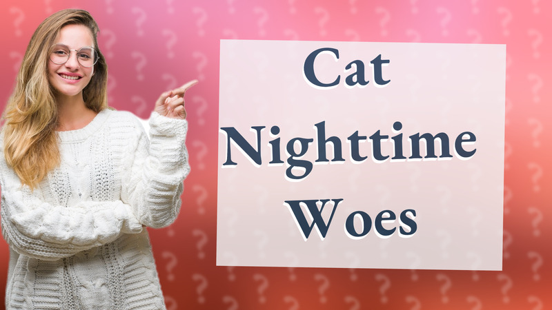 Cat Nighttime Woes