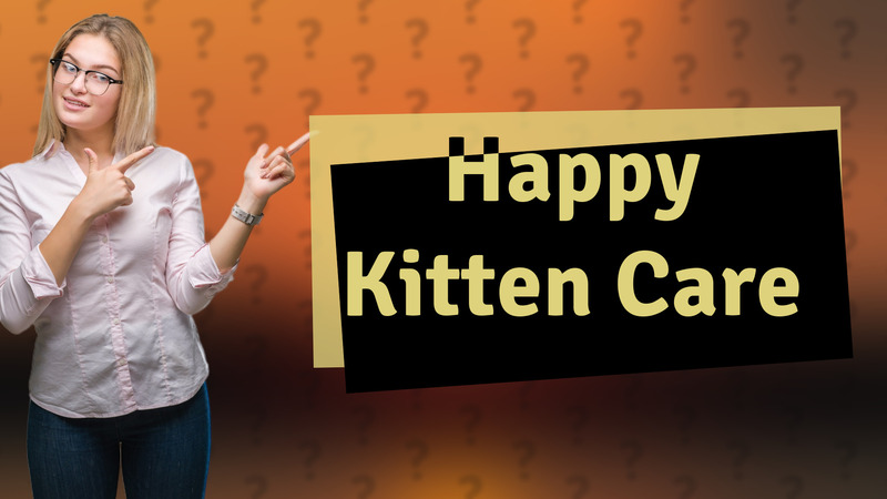 Happy Kitten Care