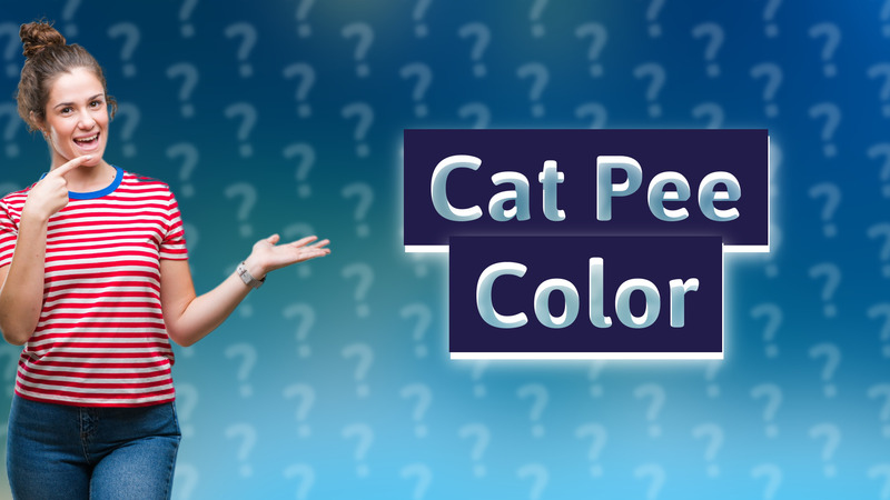 Cat Pee Color